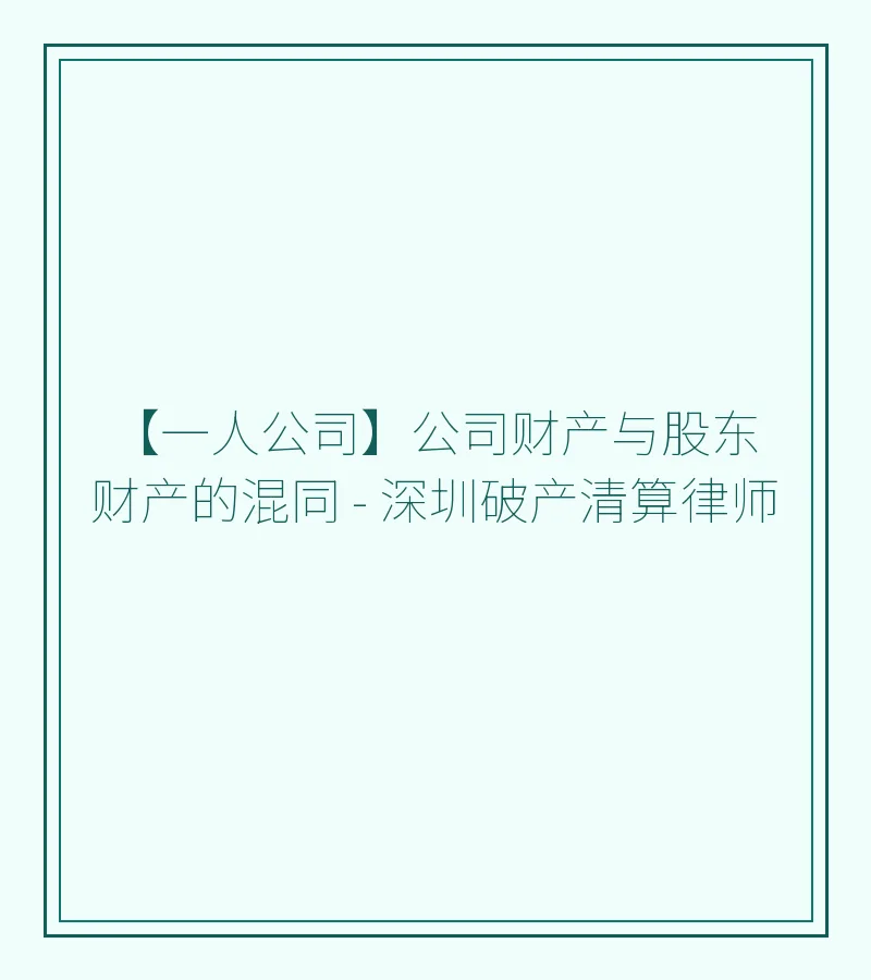 【一人公司】公司财产与股东财产的混同 - 深圳破产清算律师
