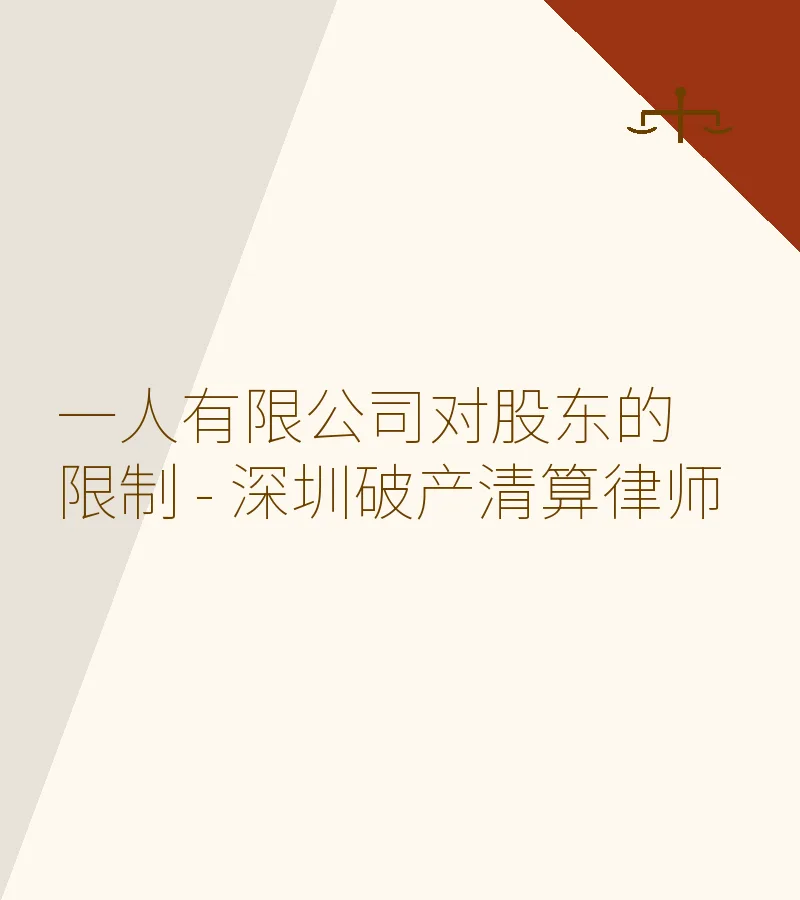 一人有限公司对股东的限制 - 深圳破产清算律师